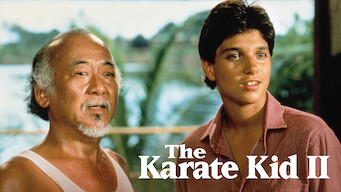 Karate Kid II – Entscheidung in Okinawa